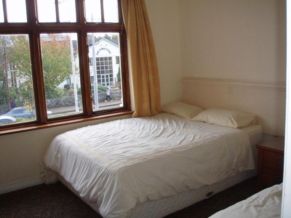 Acton Lodge Guesthouse Cork Exterior photo